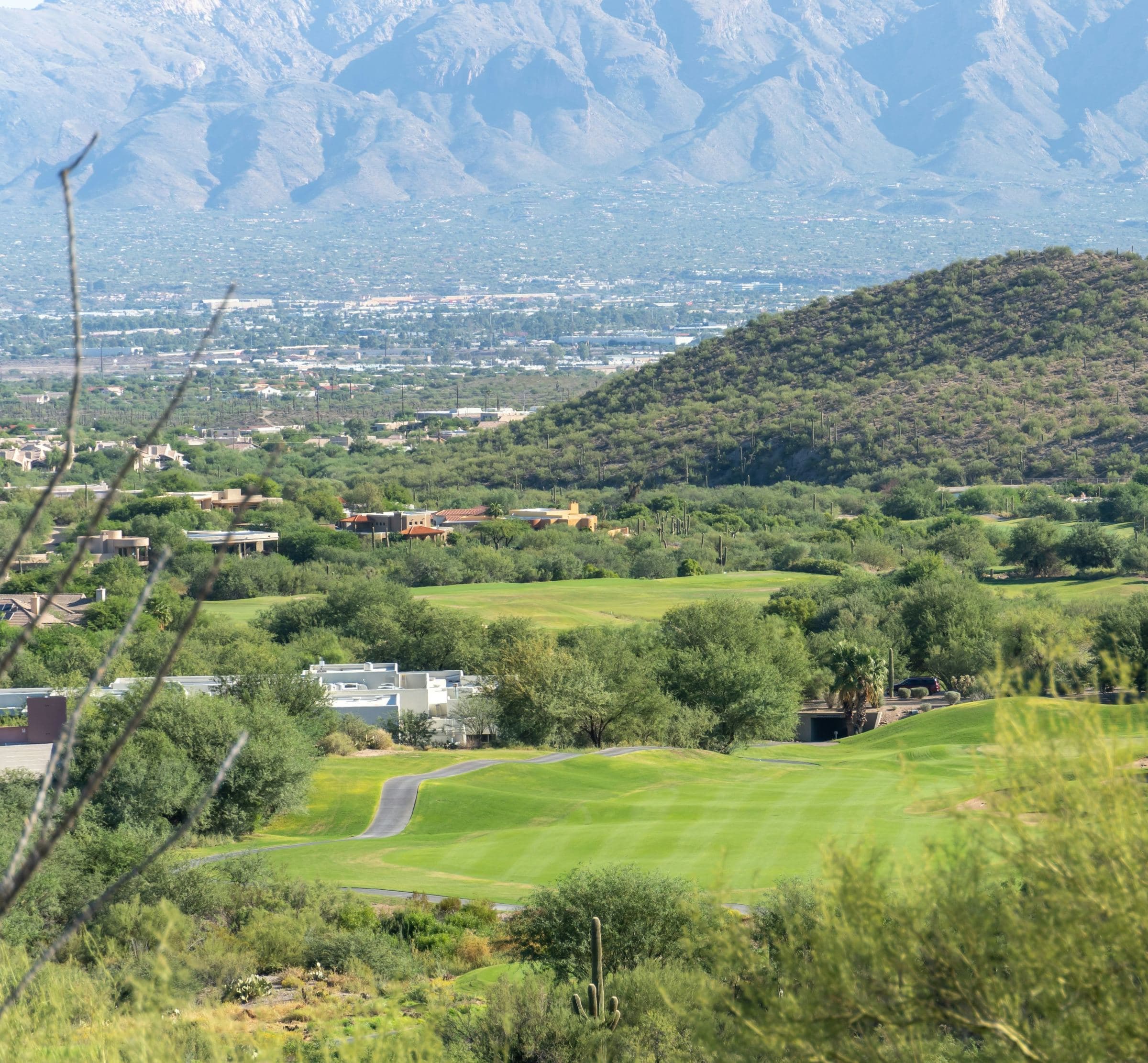 Aerial view of a golf course in one of Mesa's 55+ active adult communities