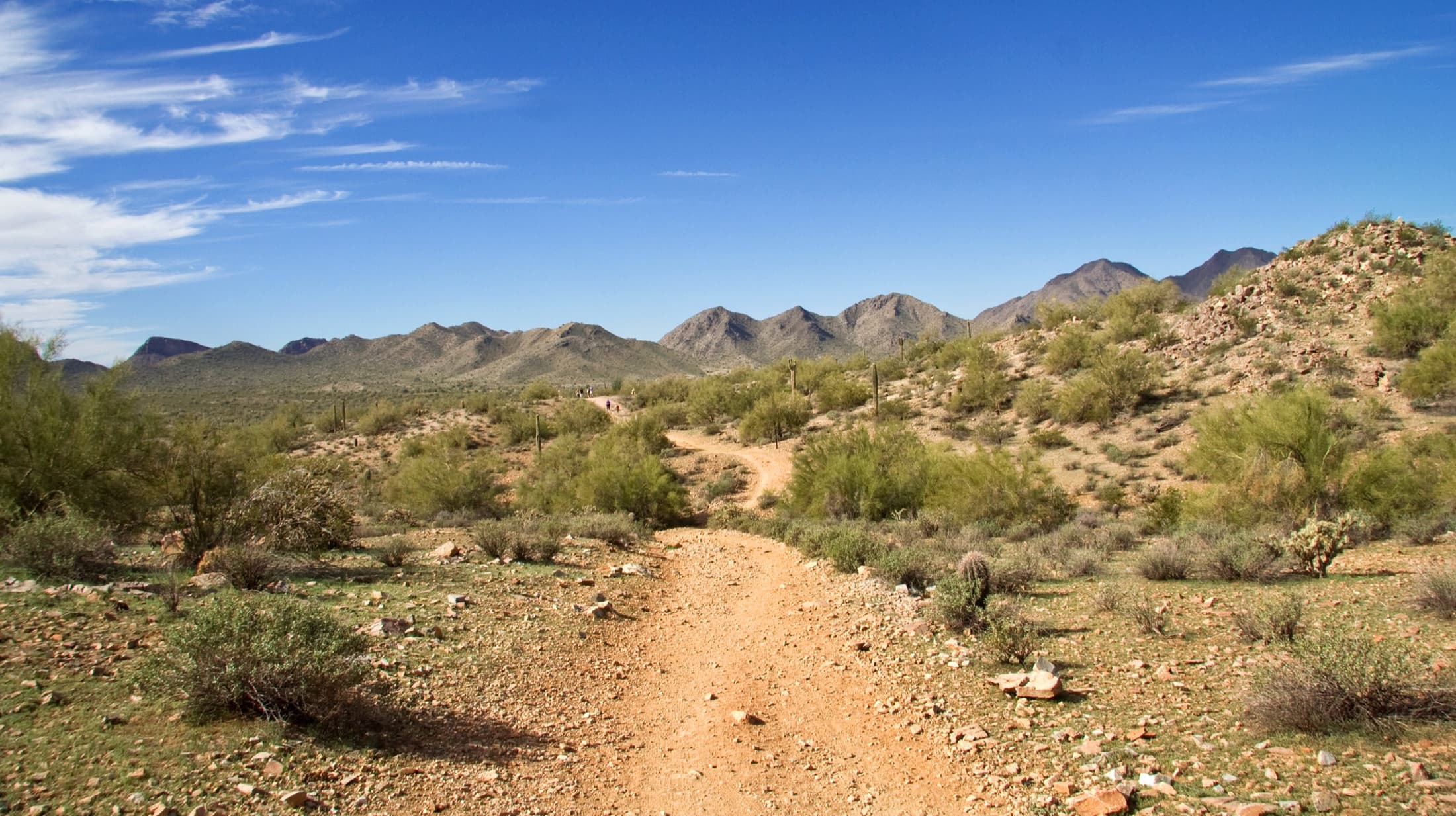 Desert trail leading toward the San Tan Mountains in San Tan Mountain Regional Park